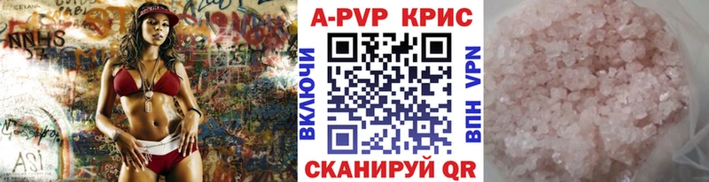 дарк нет Telegram  Тайга  А ПВП VHQ 