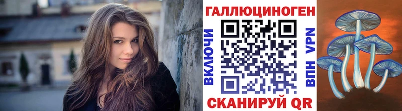 купить наркотики сайты  Тайга  hydra вход  Псилоцибиновые грибы GOLDEN TEACHER 